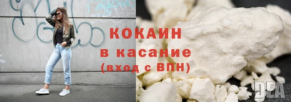 молекула духа Арсеньев
