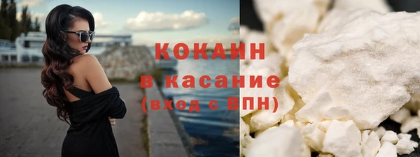 молекула духа Арсеньев