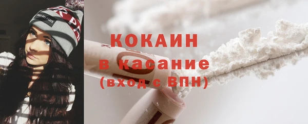 молекула духа Арсеньев