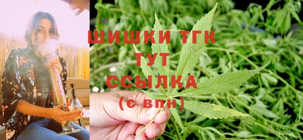 молекула духа Арсеньев