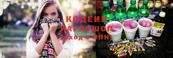молекула духа Арсеньев