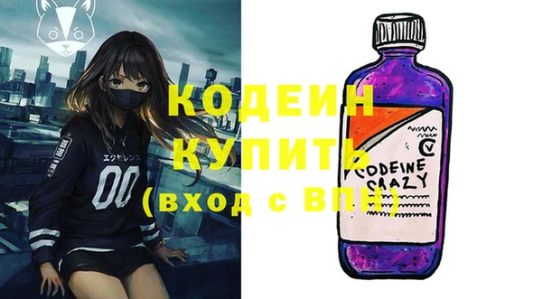 молекула духа Арсеньев