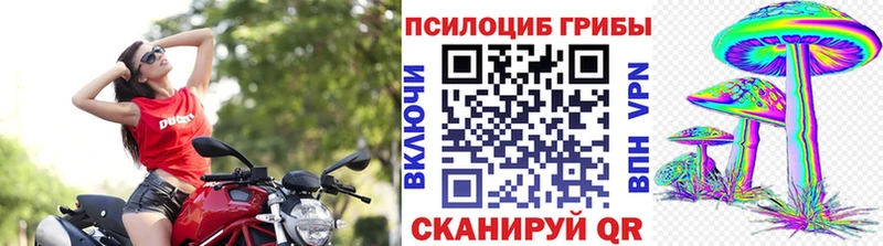 Галлюциногенные грибы MAGIC MUSHROOMS  MEGA онион  Суворов 